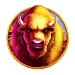 Buffalo
King