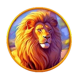 Lion
Safari